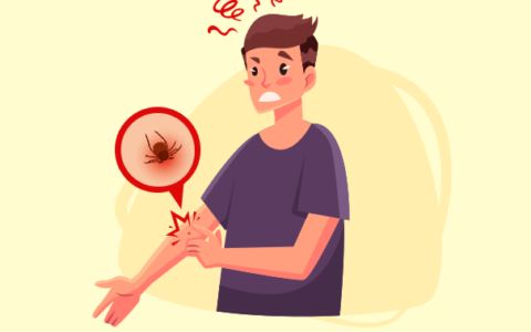 Borréliose de Lyme et prévention des piqûres de tiques