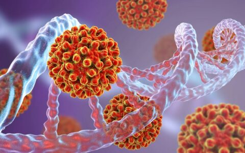 Hépatites B, C et Delta : une activité de dépistage élevée et en augmentation