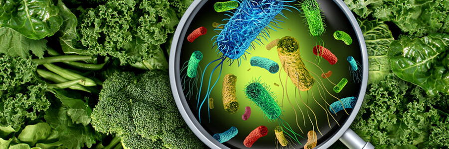 Toxi-Infections Alimentaires : Risques, Chiffres et Préventions