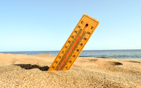 Canicule et santé publique : 12 effets alarmants des fortes chaleurs sur notre santé